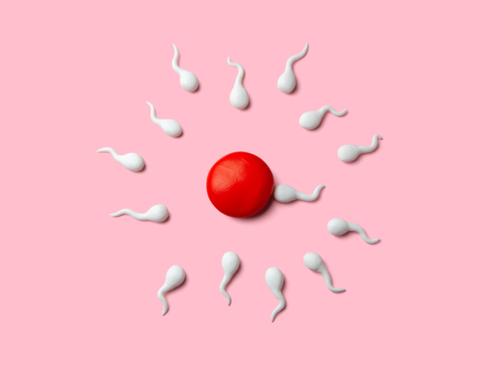 Here’s how long it takes sperm to reach the egg after sex